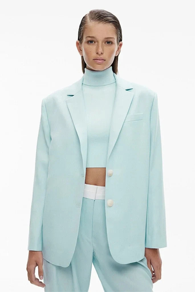 Women's Powder Blue Single Breasted 2 Piece Suit, Formal Suit for Office and Meetings